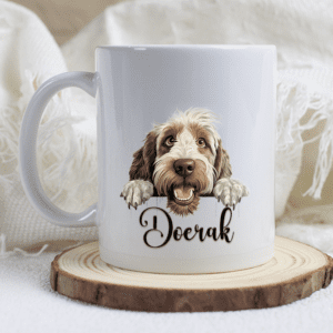 Spinone italiano mok met naam