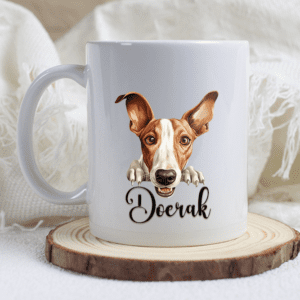 Podenco ibicenco mok met naam